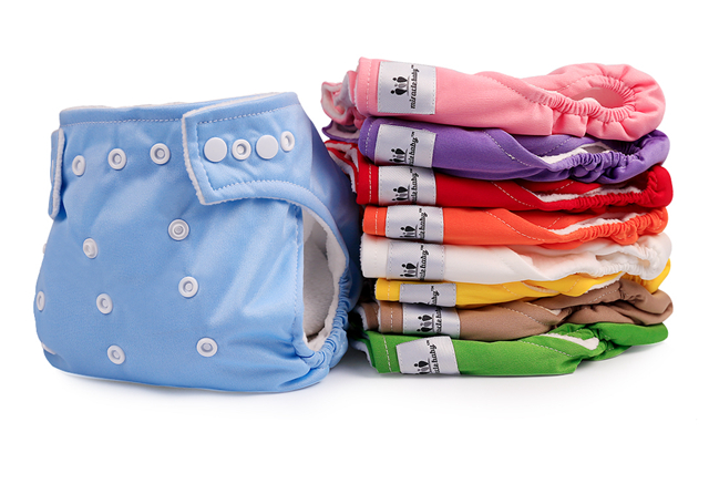 Reusable Diaper + Insert